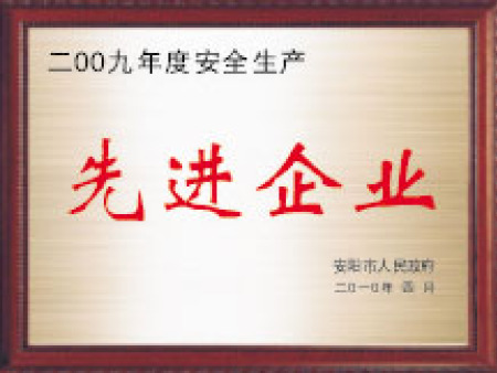 2009年度安全生产先进企业