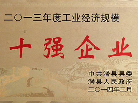 2013年度十强企业